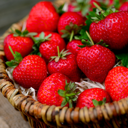 🍓Graines de Fraises locales à croissance annuelle 👍 À planter toute l’année